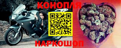 прущие грибы Балаково